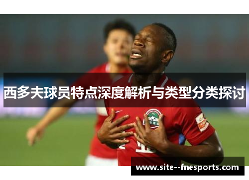 西多夫球员特点深度解析与类型分类探讨 西多夫球员特点深度解析与类型分类探讨