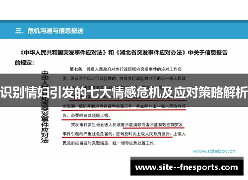 识别情妇引发的七大情感危机及应对策略解析