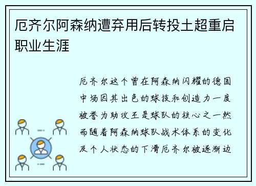 厄齐尔阿森纳遭弃用后转投土超重启职业生涯