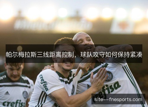 帕尔梅拉斯三线距离控制，球队攻守如何保持紧凑